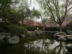 -西安青龙寺遗址景区