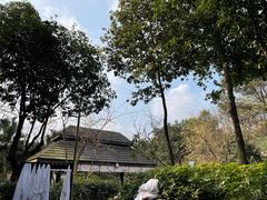 -融汇温泉