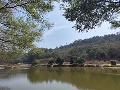 -南国桃园旅游度假区