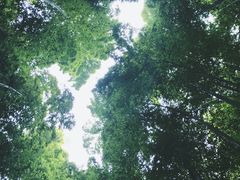-宝岩生态观光园