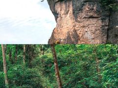 -光雾山旅游景区