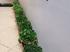 -福来齐·鲁菜海鲜·渔家菜(朝阳街分店)