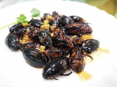 -寻味顺德·南记酒家·传统顺德菜·鱼生(广源路店)