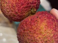 -欢乐海岸美食联盟