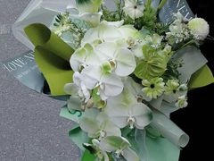-拾花记花艺·求婚·订婚·生日布置(高新店)