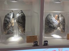 -陕西自然博物馆