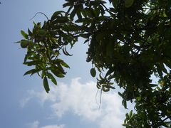 -广东工业大学(大学城校区)