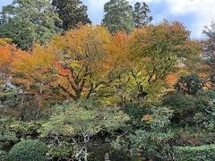 -三千院
