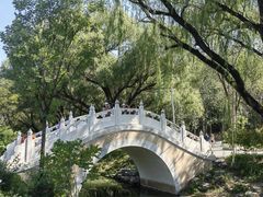 -北坞公园