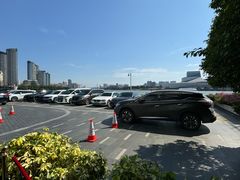 -广州白天鹅宾馆