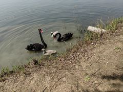 -西山漾湿地公园