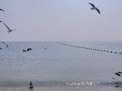 -青岛第一海水浴场