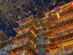 -大佛寺高级素食自助餐厅