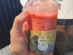 -野萃山·潮汕厚果汁(十亩地店)