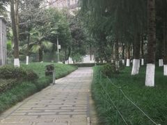-龙头寺公园
