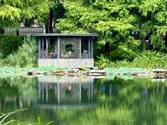 -四海公园(南山区)
