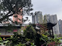 -顺德渔村·岭南一号