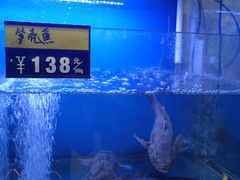 -金龙·打边炉(武进路店)