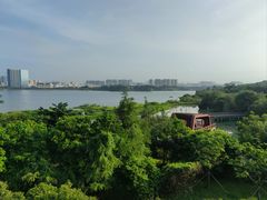-立新湖公园