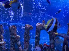 -太平洋海底世界