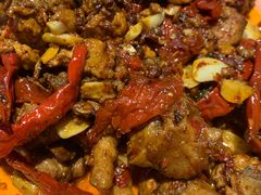 -柴窝堡22号辣子鸡·传承新疆菜