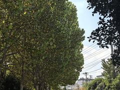 -四里河滨水生态公园