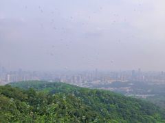 -广州市白云山风景名胜区