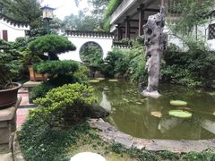 -南山植物园