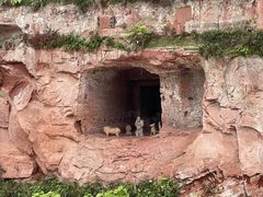 -乐山市博物馆