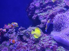 -成都浩海立方海洋公园