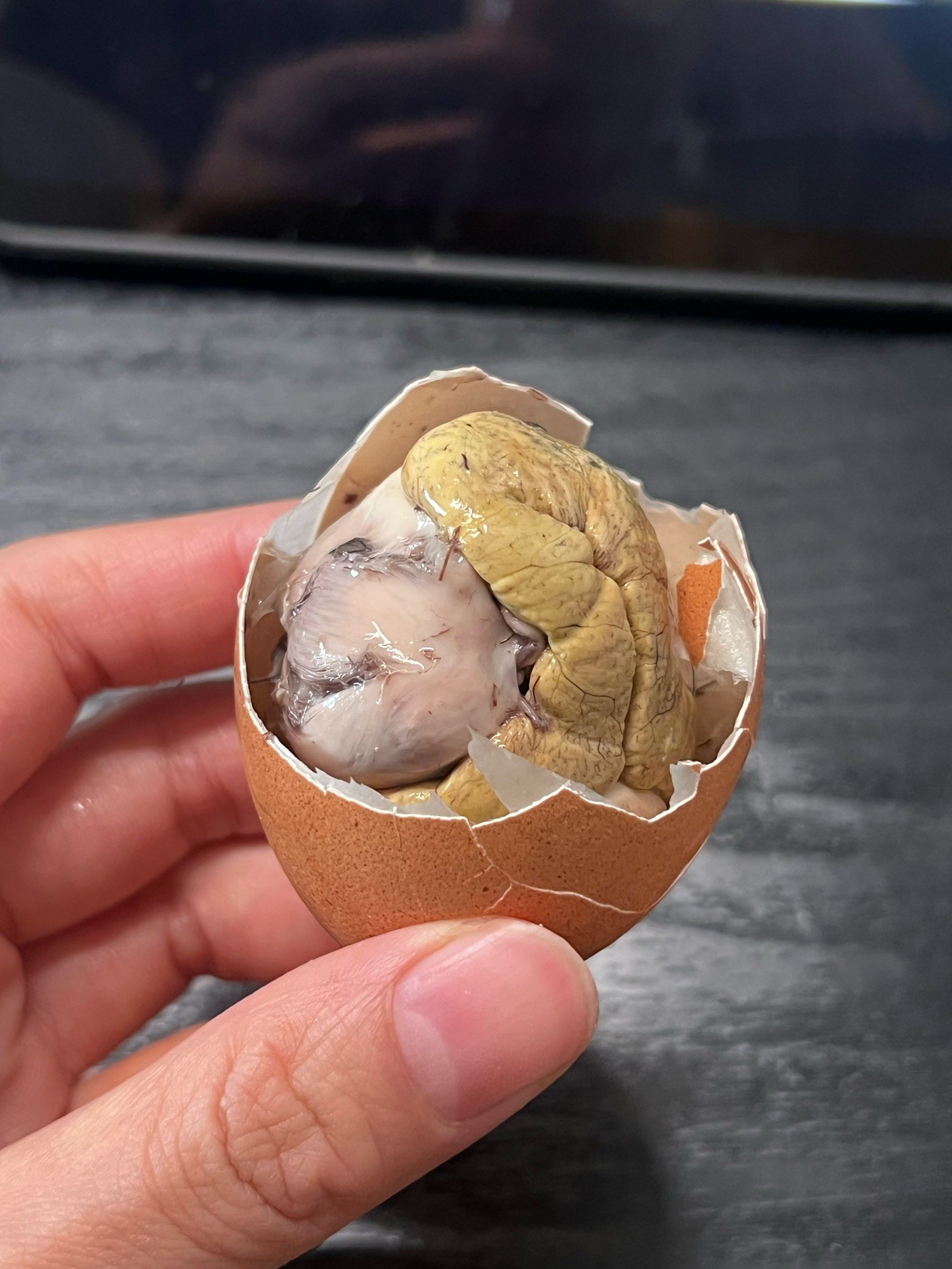 有没有爱吃活珠子的朋友!太馋这一口了