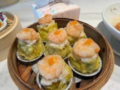 -点都德·毕德寮