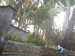 -三亚珠江南田温泉度假区