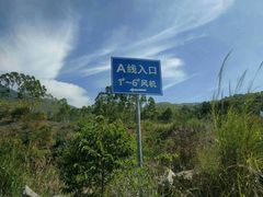 -盐洲岛