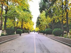 -陕西师范大学(雁塔校区)