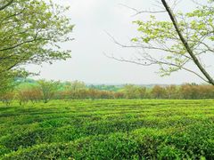-凤凰沟景区