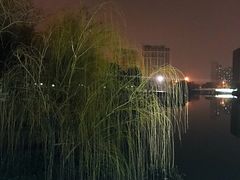 -南翔镇银翔湖公园