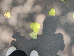 -同里国家湿地公园
