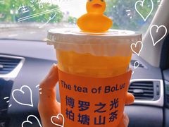 -SUN·FUN星奇乐(博罗文化广场店)