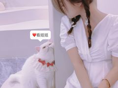 -More Fun猫咖 二十只万元加菲主题