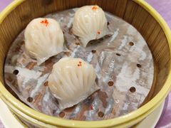 -宝燕壹号(徐汇店)