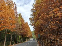 -南京市无想山景区