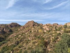 -红山国家森林公园