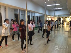 -华翎国际钢管舞培训