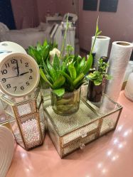 -莎蔓莉莎美容会所