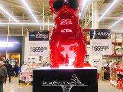 -山姆会员商店(杨桥西路店)