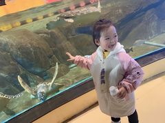 -福州罗源湾海洋世界旅游区