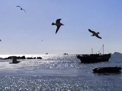 -石槽海滨浴场