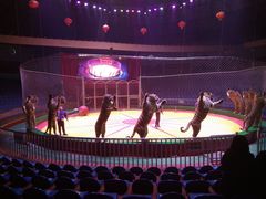 -西安秦岭野生动物园