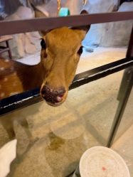 -酷嗒动物文化乐园(cutezoo西溪乐天城店)